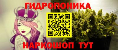 марихуана Краснознаменск