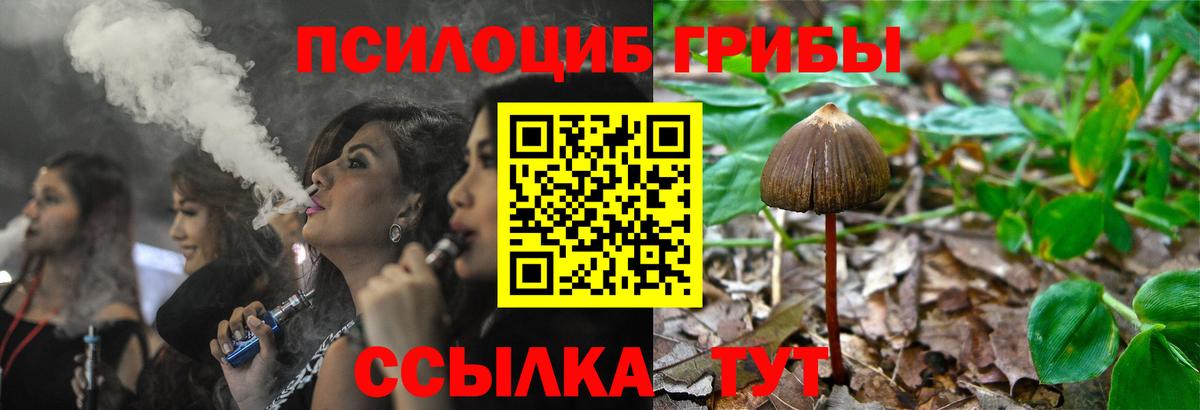 Псилоцибиновые грибы прущие грибы Щёкино